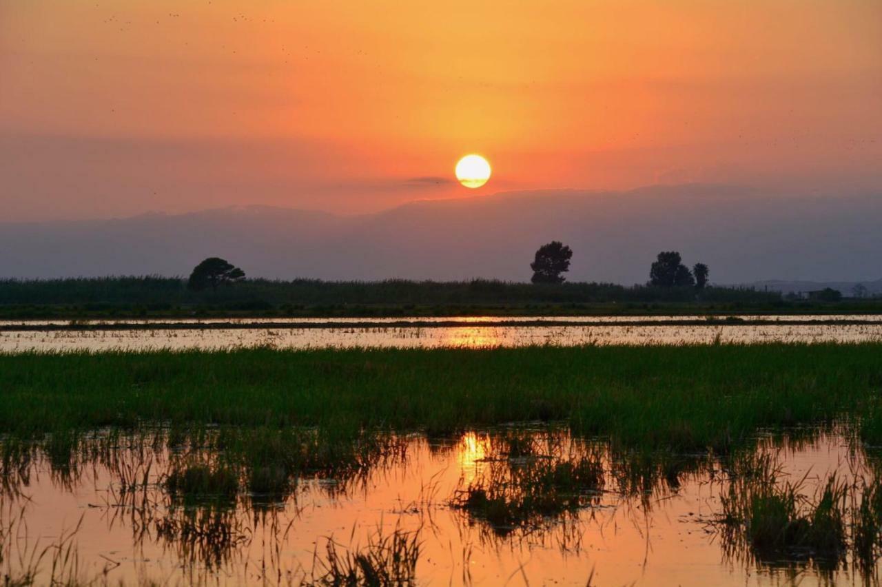 L' Espiga - Casa Rural Deltebre Dış mekan fotoğraf
