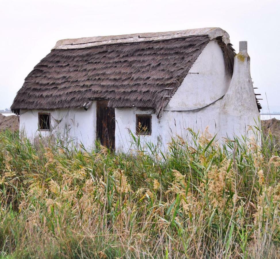L' Espiga - Casa Rural Deltebre Dış mekan fotoğraf
