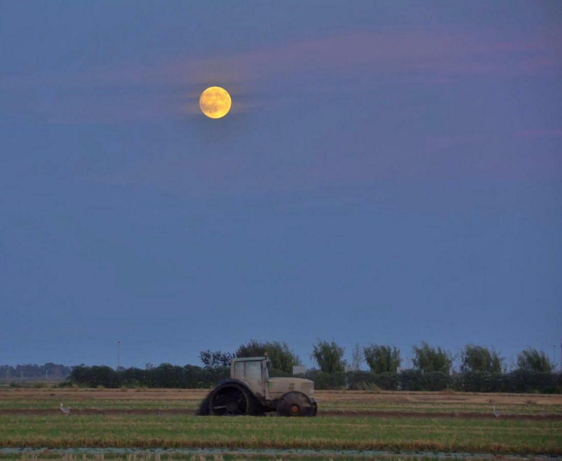 L' Espiga - Casa Rural Deltebre Dış mekan fotoğraf